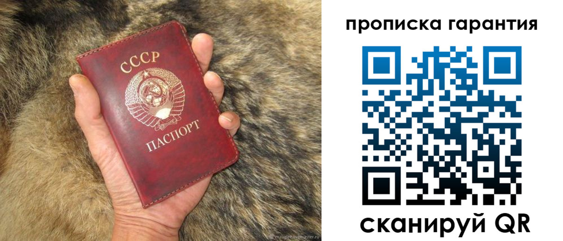 временная регистрация гарантия в Камызяке